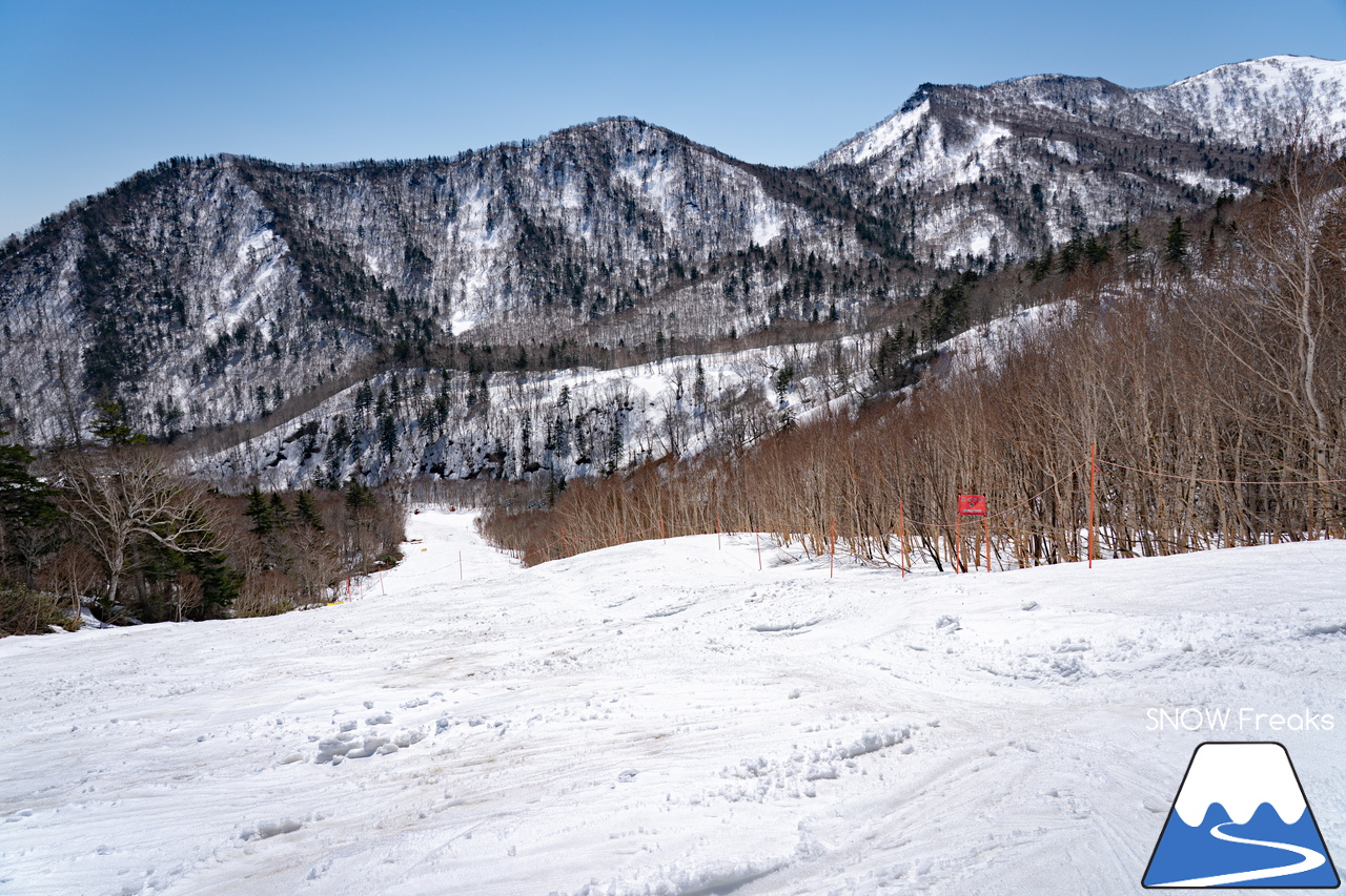 札幌国際スキー場｜ゴールデンウイーク初日も全コース滑走可能OK！！真っ白な雪と澄んだ青空 ＝ 絶好の春スキー＆スノーボード日和♪そして、日本海の彼方に、なんと利尻富士が見えた？！